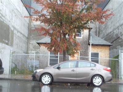 Current Picture