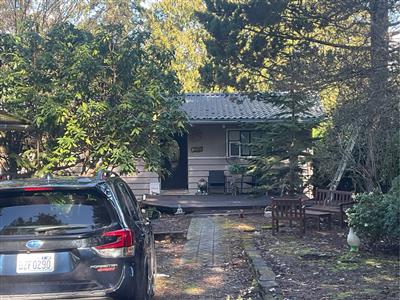 Current Picture