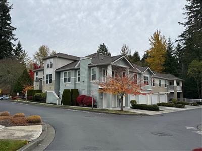 Current Picture